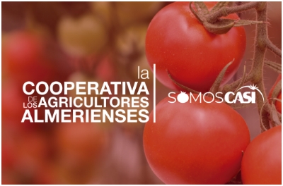 Taller Agencia - Proyectos - Cooperativa Agricultores Almerienses